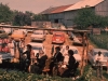unbenannt-203