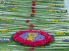 p1140296