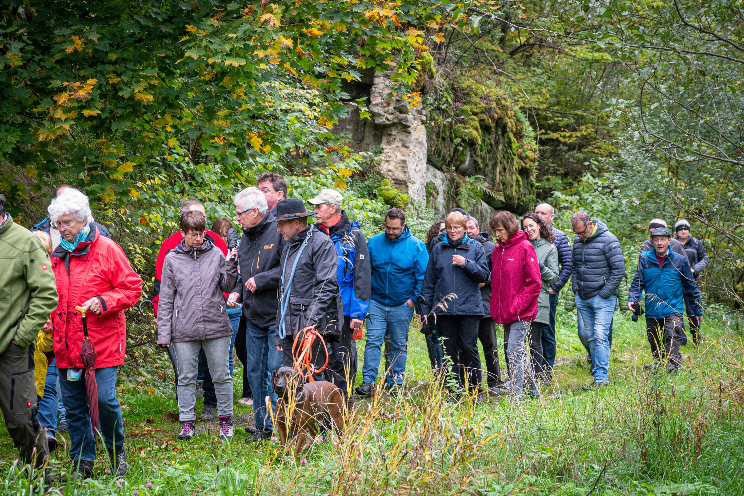 OWV-Herbstwanderung in Falkenberg