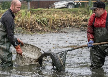 Sulzteichfischen