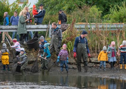 Abfischen vom Sulzteich