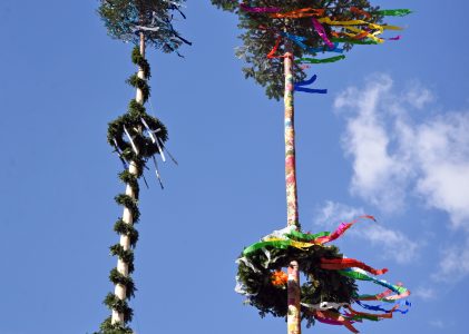 Maibaum 2025